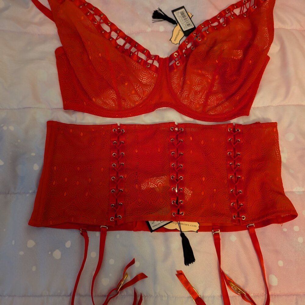 Playful Promises 36H Florence Red High Apex Underwire Bra & Cincher - Picture 5 of 11